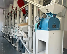 20~25吨/天大米成套设备